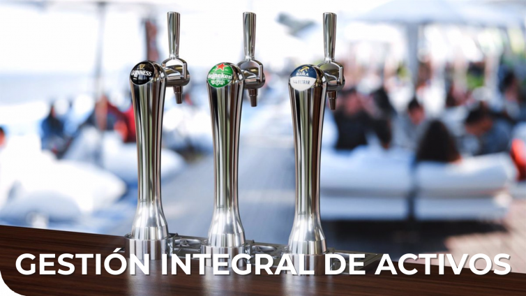 Gestión integral de activos