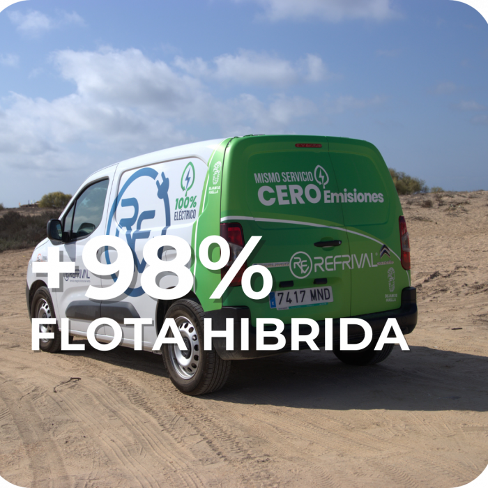 Flota hibrida