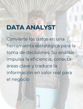 Data Analyst