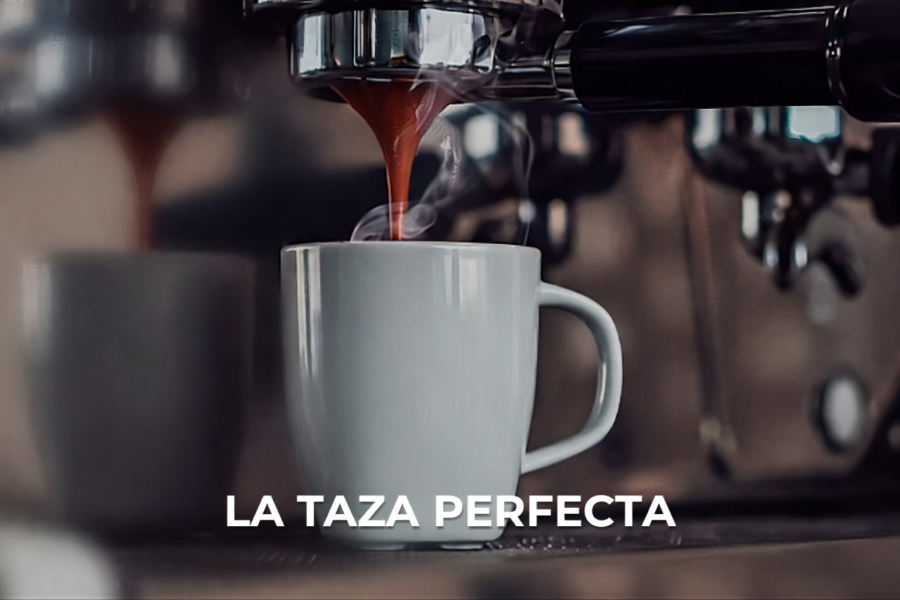 LA TAZA PERFECTA